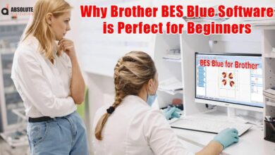Brother BES Blue Embroidery Digitizing Software