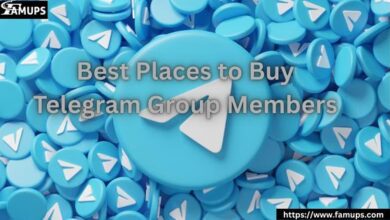 Best Places to Buy Telegram Group Members